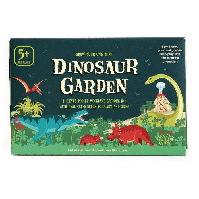 Mini Dinosaur Garden The Dino Fan Gift Box