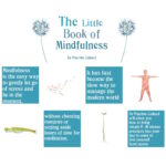 little-book-of-mindfulness-2