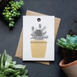 wp-image39892621787365-png