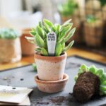 wp-image39892621852901-png