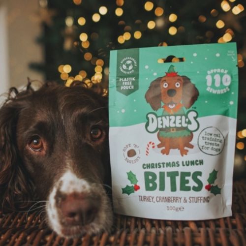 Denzels Christmas Lunch Dog Treats