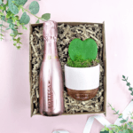 Mini prosecco and plant gift box