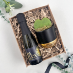 The black and gold -prosecco-and-plant-hamper gift set