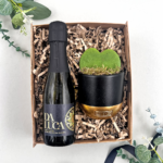 the black and gold mini-prosecco-and-plant-hamper gift set