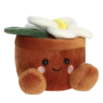 palm-pal-daisy-flower-pot-1