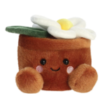 palm-pal-daisy-flower-pot