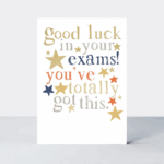 youve-totally-got-this-exams-card-2