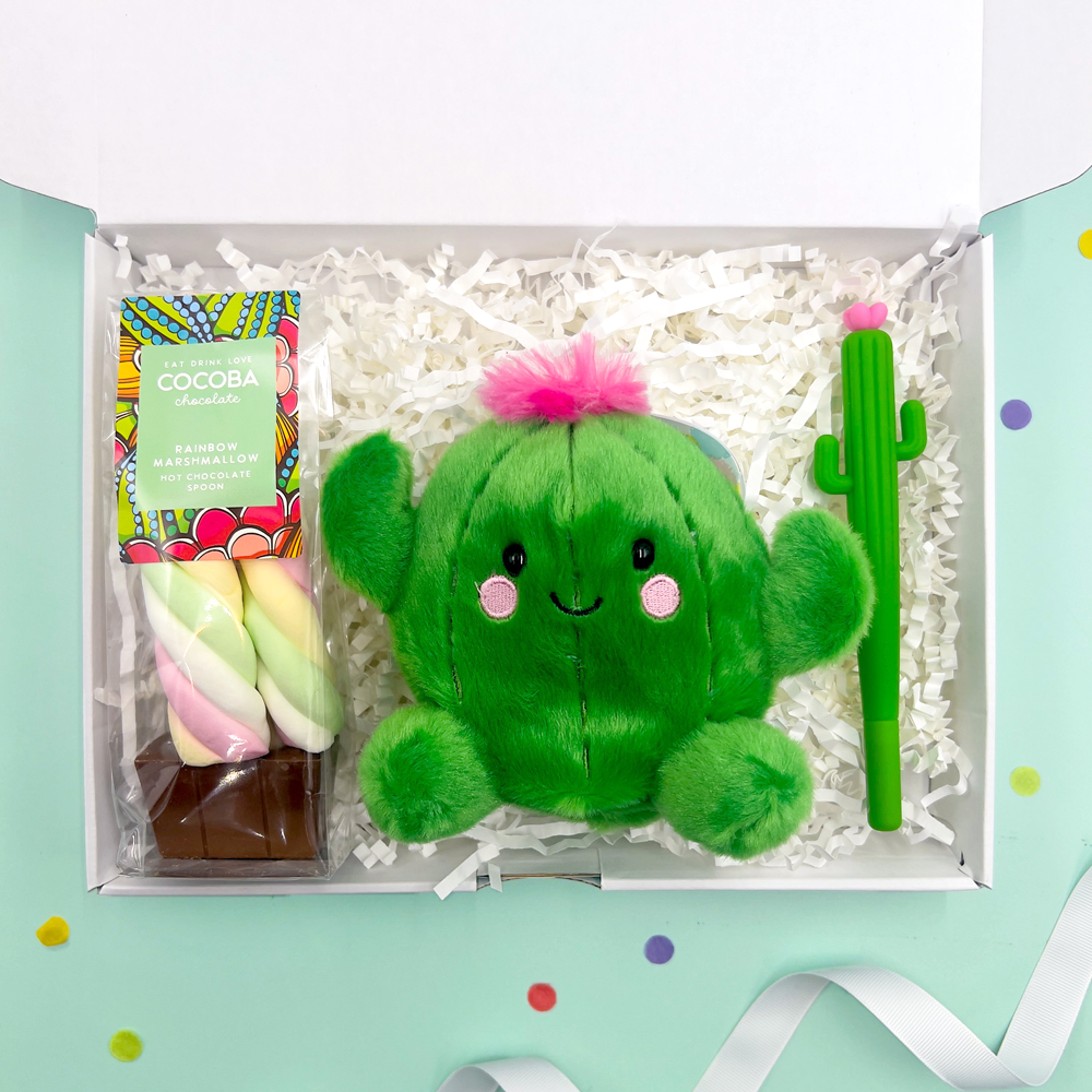 Prickles Cactus Palm Pal Plush And Legami Letterbox Gift