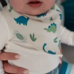 dinosaur baby cotton banana bib