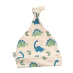dinosaur_cotton_hat