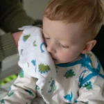 dinosaur muslin washcloths