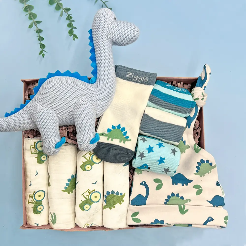 new baby boy gift hamper dinosaur rattle socks hat muslin washcloths gift box