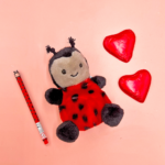 Mini letterbox containing a Ladybird Palm Pal, Legami Pen and 2 chocolate hearts.