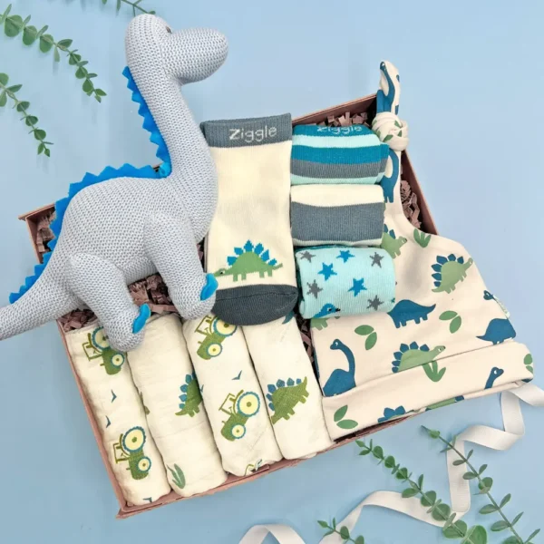 New Baby Boy Gift Hamper with Dinosaur Rattle, Baby Socks & Muslins