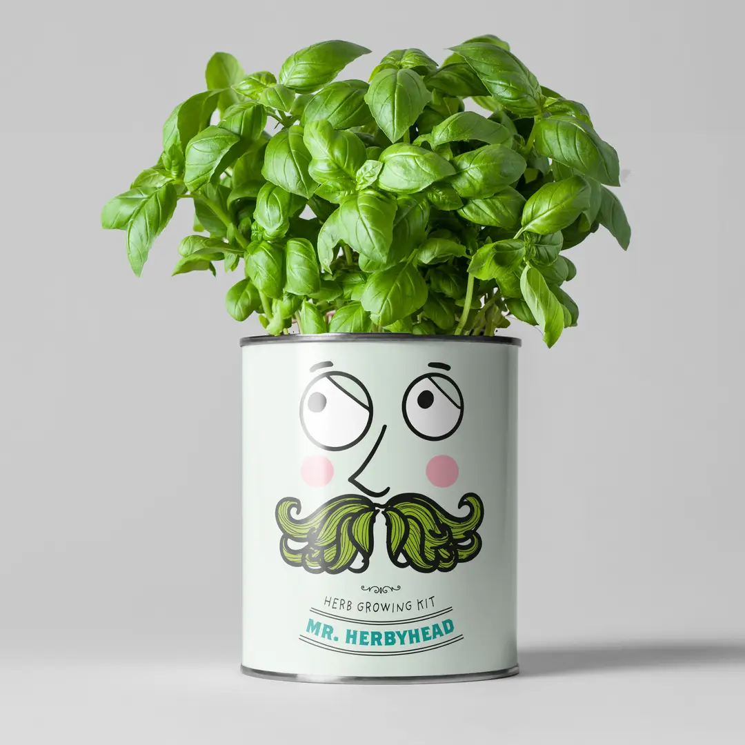 Mr Herbyhead Eco Grow Your Own Herbs Kit