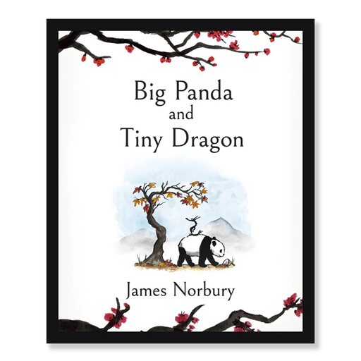 Big Panda And Tiny Dragon Book
