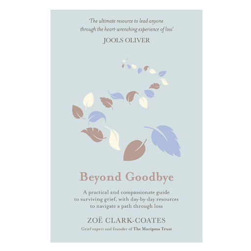 Beyond Goodbye by Zoe Clark-Coates