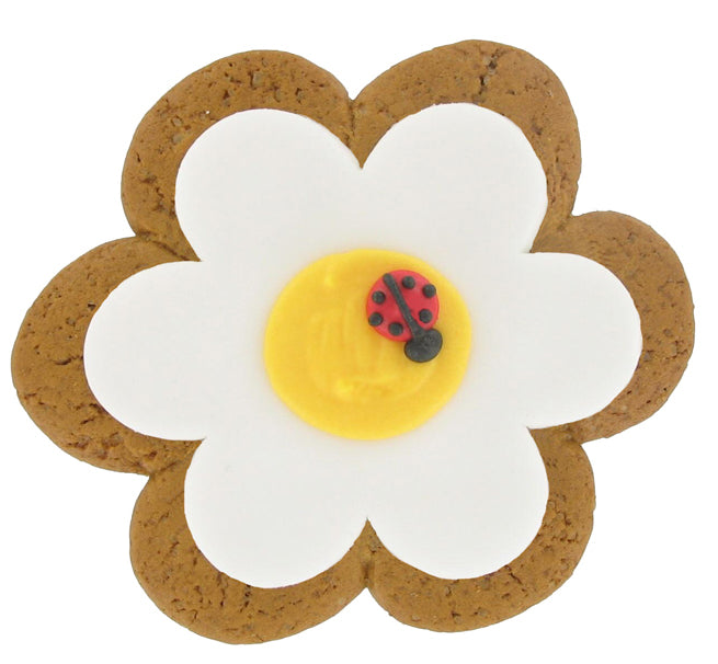 Summer Fun Iced Gingerbread Biscuit - Daisy