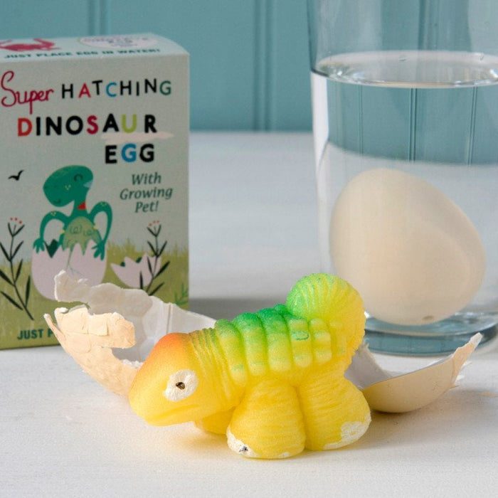 Super Hatching Dinosaur Egg The Dino Fan Gift Box