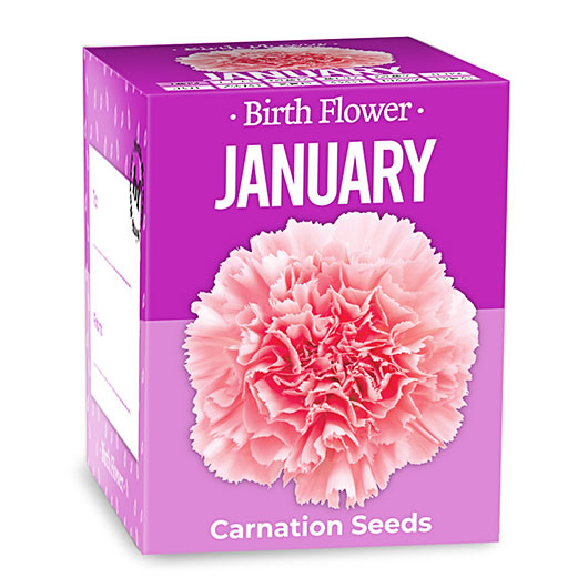 January Birthday Month Seeds - Jan to Dec