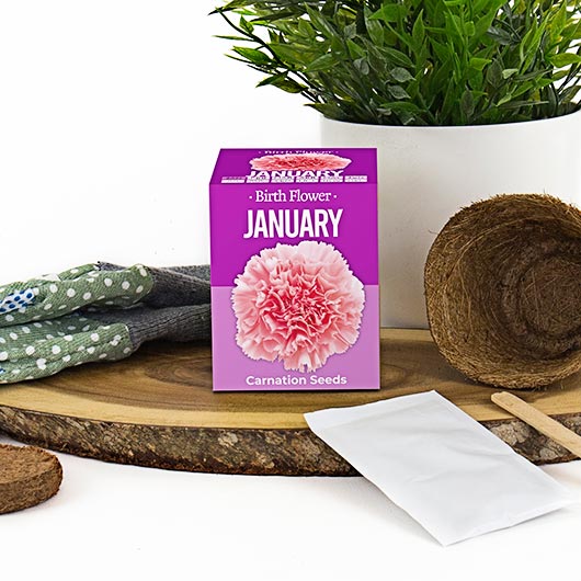 January Birthday Month Seeds - Jan to Dec