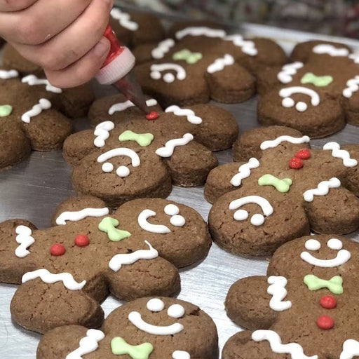 Christmas Iced Gingerbread Biscuit