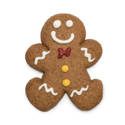 Christmas Iced Gingerbread Biscuit