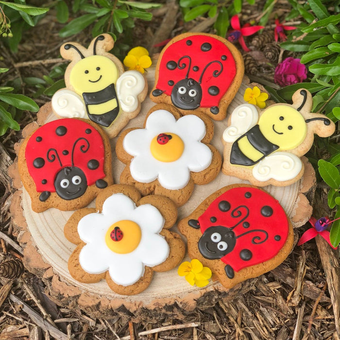 Summer Fun Iced Gingerbread Biscuit - Various Designs Flower Ladybird