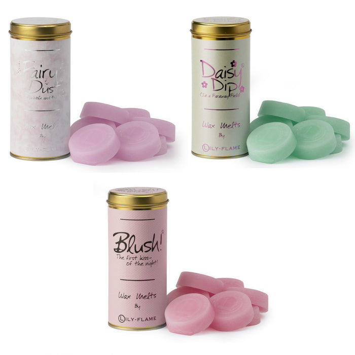 Scented Wax Melts - Various Fragrances