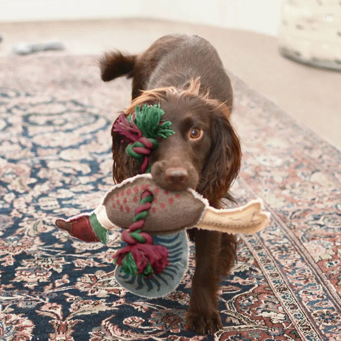 Sophie Allport Pheasant Rope Dog Toy