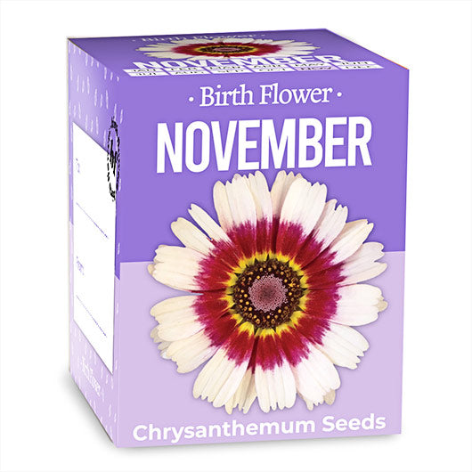 November Birthday Month Seeds - Jan to Dec