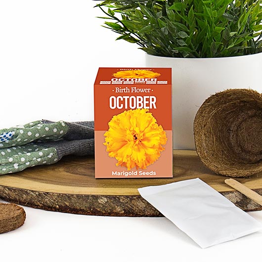 October - Birthday Month Seeds - Jan to Dec