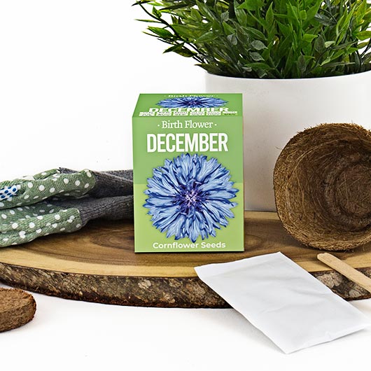 December Birthday Month Seeds - Jan to Dec