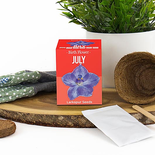 July - Birthday Month Seeds - Jan to Dec