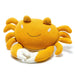 Organic Knitted Sea Animals - Various Creatures - Mustard Crab