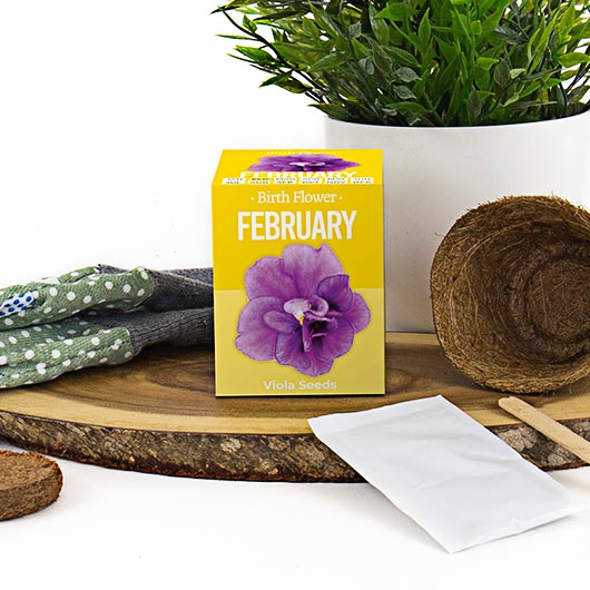 February Birthday Month Seeds - Jan to Dec